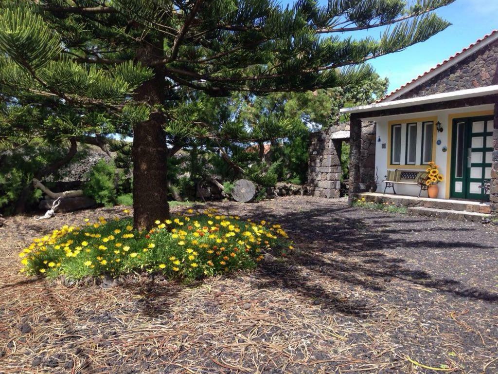 Вилла Casa Da Costa Мадалена Экстерьер фото